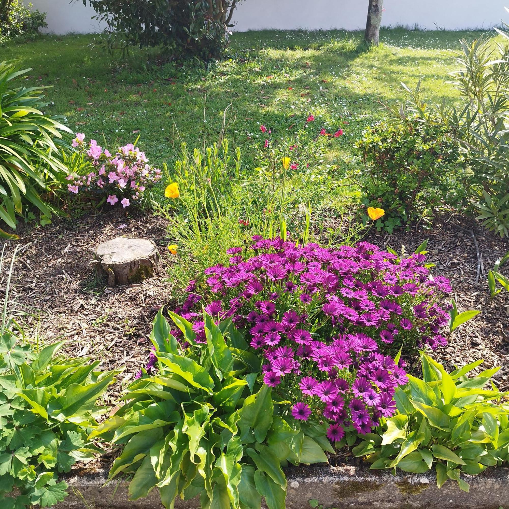 Entre Golfe Et Ocean Villa La Trinite-Surzur Phòng bức ảnh